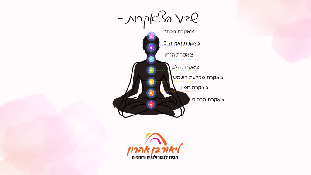 הצ'אקרות לאורך גוף האדם.